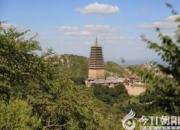 【今日朝陽(yáng)網(wǎng)】遼寧朝陽(yáng)鳳凰山傳說系列之——千年古松