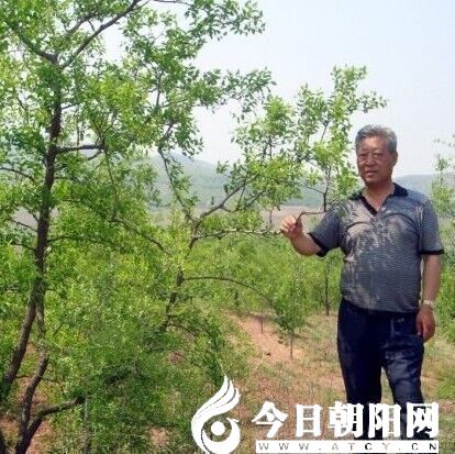 點擊查看大圖