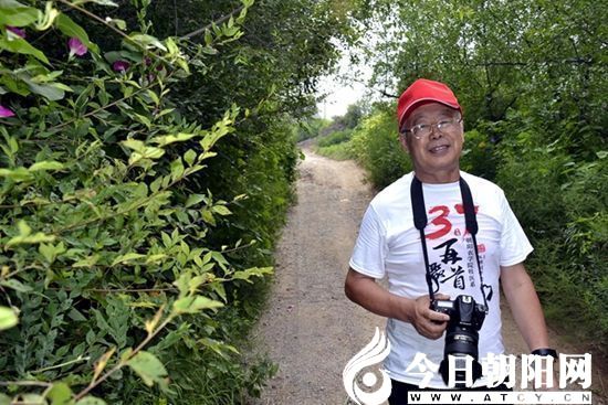 點擊查看大圖