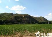 李老漢的心里為啥喜滋滋的？（瑞雪）