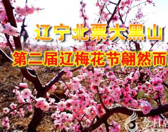 【今日朝陽網】春吻遼梅含羞開 粉面笑迎知己來（褚駒）