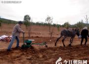 【今日朝陽網】擘挲與耢（l?。┳樱▍歉瑁?></a>
            <div   id=