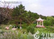 樹(shù)姿百貌——異葉榕（陳玉民）
