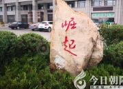 樹(shù)姿百貌——金葉榕（陳玉民）