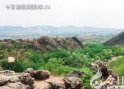 樹(shù)姿百貌——王桉樹(shù)（陳玉民）