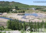 樹(shù)姿百貌——胡楊樹(shù)（陳玉民）