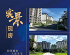 興盛·梧桐公館及紅豆杉小鎮(zhèn)項目