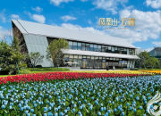 鳳凰山·云麓 朝陽學府 金泰學府三期項目